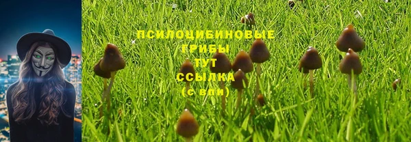 кокаин VHQ Белокуриха