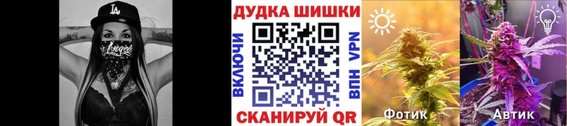 гидра рабочий сайт  Кирсанов  Каннабис индика  закладка 